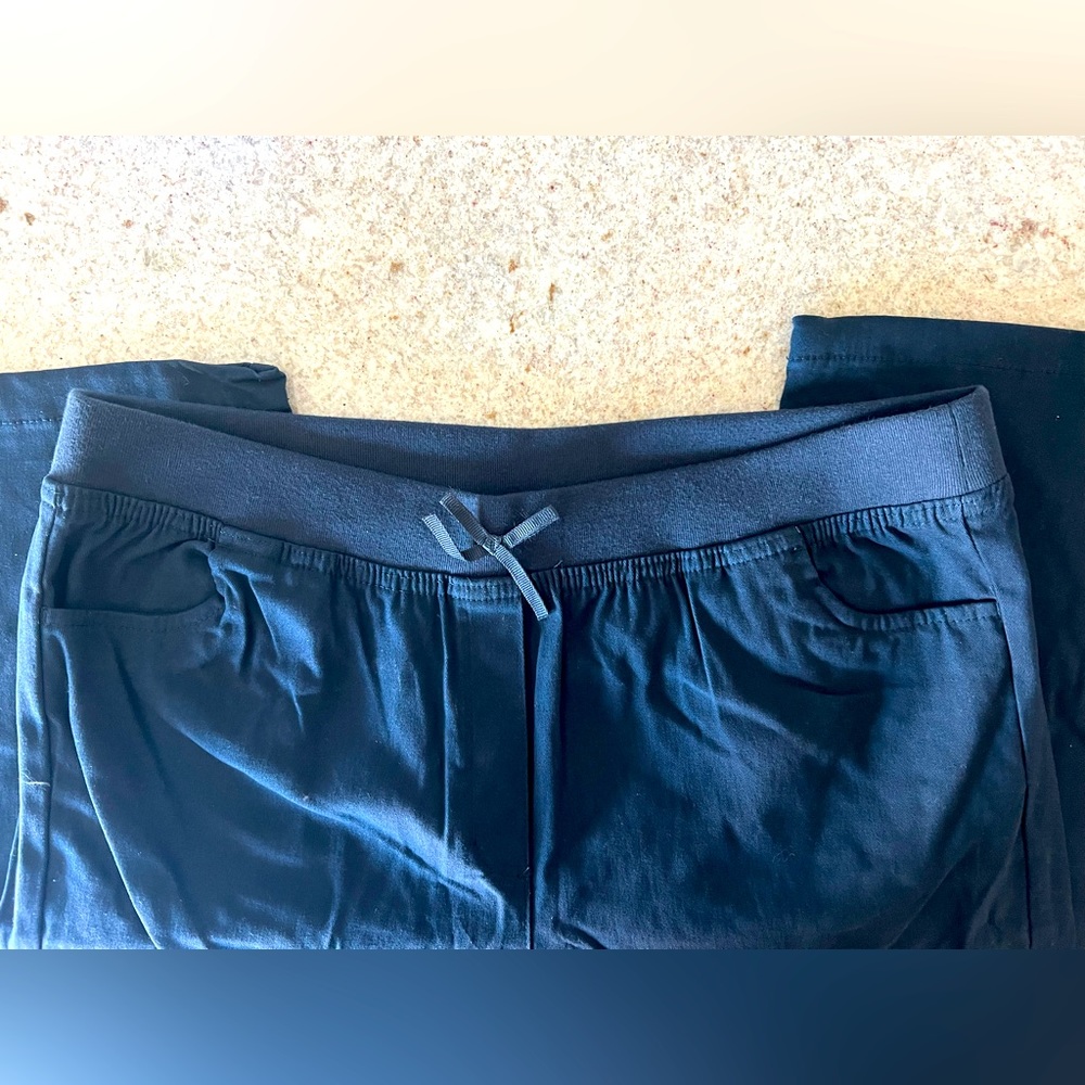 IZOD 18.5 plus navy pants.